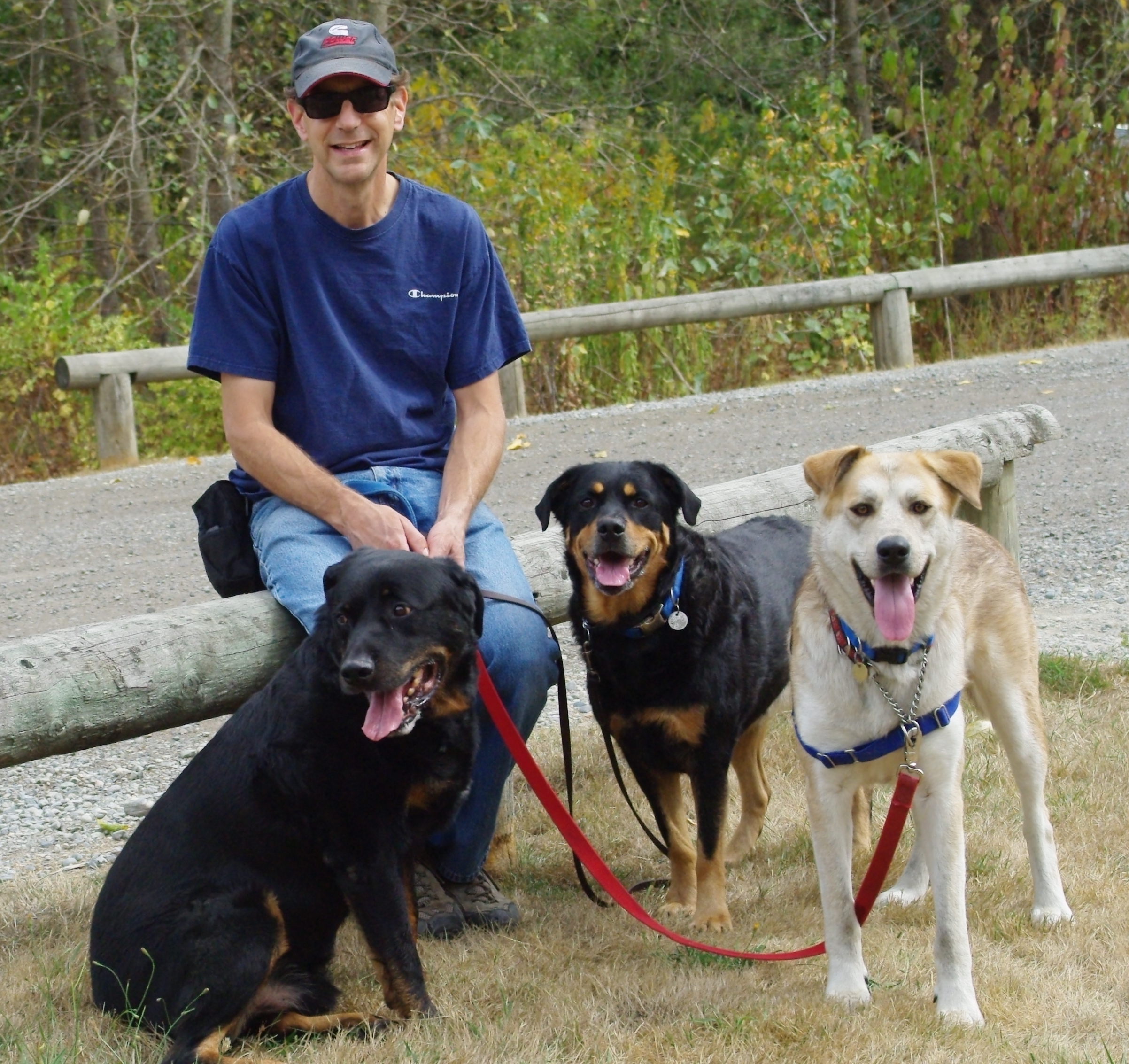 Trainer Andy with his three dogs