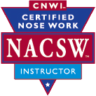 CNWI Logo Badge